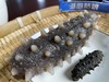 九年淡干辽刺参  一斤 送50头黄金鲍鱼干 商品缩略图2