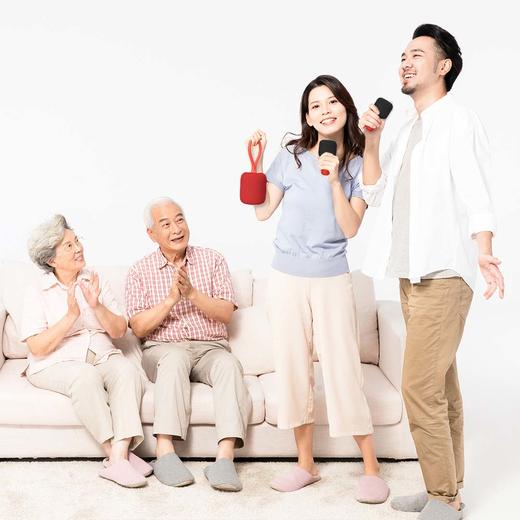 ik8plus卡拉OK音箱i手机电脑电视蓝牙家用办公专业录音麦克风 商品图2