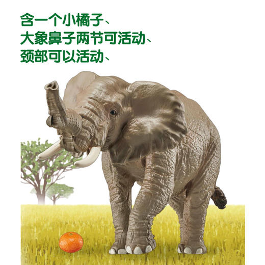 安利亚-ANI-160564非洲象（带橘子） 商品图3