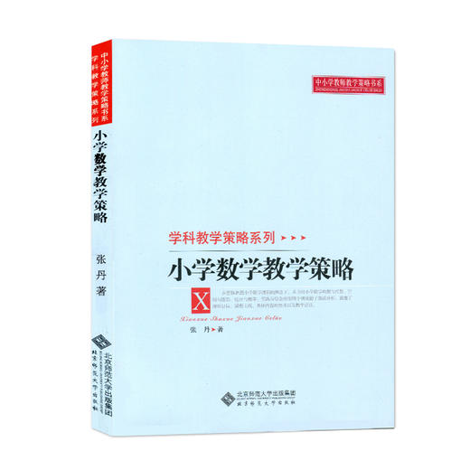学科科学策略系列：小学数学教学策略 9787303107117 北京师范大学出版社 正版书籍 商品图0