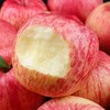 【脆甜好滋味】洛川苹果 甜脆爽口 4.5斤大果彩箱/12枚礼盒 商品缩略图3
