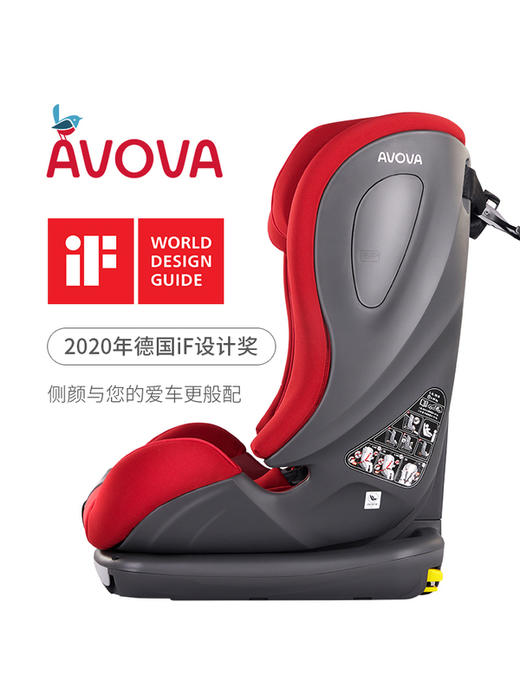 【AVOVA】 斯博林 15个月-12岁 商品图0