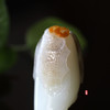和田玉（羊脂白玉）籽料挂件--知遇 99.5g 商品缩略图4