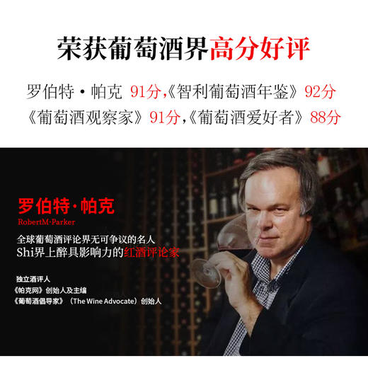 金色圣殿红酒Alba de Domus智利原瓶原装进口金殿之子干红葡萄酒 商品图1