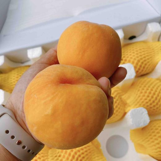 每年必吃~【无锡黄金水蜜桃】12头/盒。爆款甜蜜来袭，口感完美 商品图2