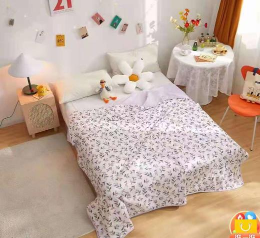 5    棉印花夏被200x230cm厂家建议价680元，现价239元 商品图0