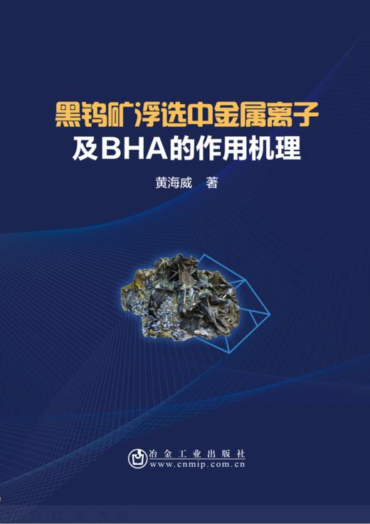 黑钨矿浮选中金属离子及BHA的作用机理/黄海威 商品图0