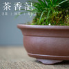 茶香记 紫砂  椭圆花盆 雅致 有老味摆件 茶道配件 商品缩略图2
