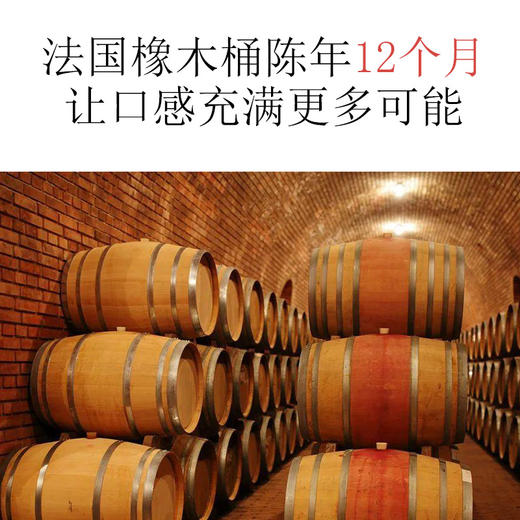 金色圣殿红酒Alba de Domus智利原瓶原装进口金殿之子干红葡萄酒 商品图4