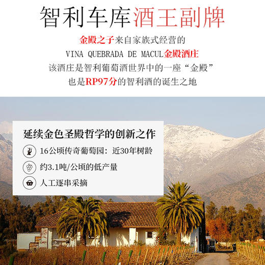 金色圣殿红酒Alba de Domus智利原瓶原装进口金殿之子干红葡萄酒 商品图2