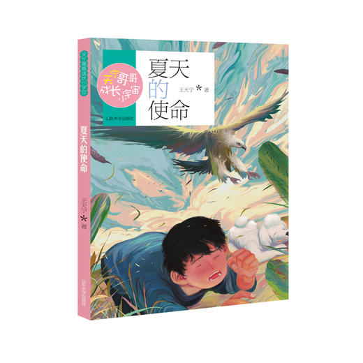 天宁哥哥成长小宇宙：夏天的使命 商品图0