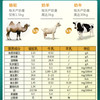 明珠娇子 • 太子驼 -初乳益生菌配方驼乳粉 （太子驼） 青少年中老年新疆正品双峰驼奶粉 商品缩略图1