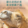 明珠娇子 • 太子驼 -全脂驼乳粉  青少年中老年新疆正品双峰驼奶粉300g 商品缩略图1