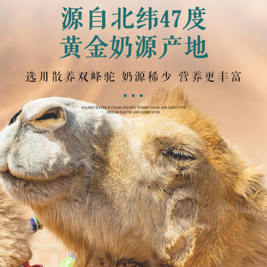 明珠娇子 • 太子驼 -全脂驼乳粉  青少年中老年新疆正品双峰驼奶粉300g 商品图1