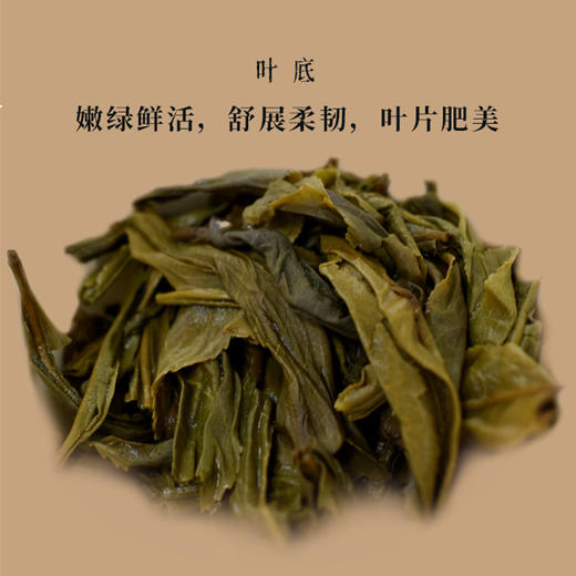 普洱 莫氏大森 邦东古树2016私享境界200g 商品图3