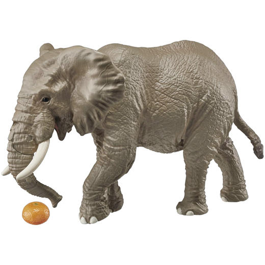 安利亚-ANI-160564非洲象（带橘子） 商品图2