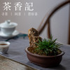 茶香记 紫砂  椭圆花盆 雅致 有老味摆件 茶道配件 商品缩略图4