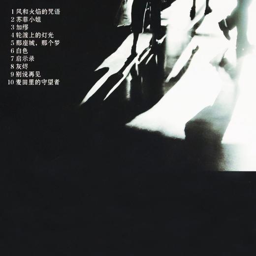 菠萝大哥CD 商品图1