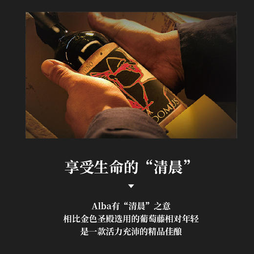 金色圣殿红酒Alba de Domus智利原瓶原装进口金殿之子干红葡萄酒 商品图3