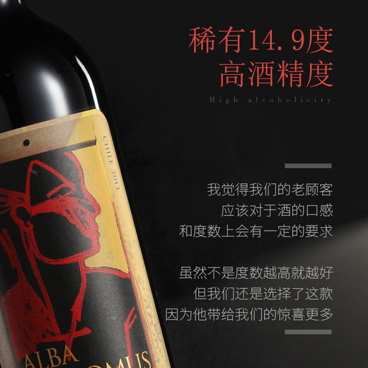 金色圣殿红酒Alba de Domus智利原瓶原装进口金殿之子干红葡萄酒 商品图5
