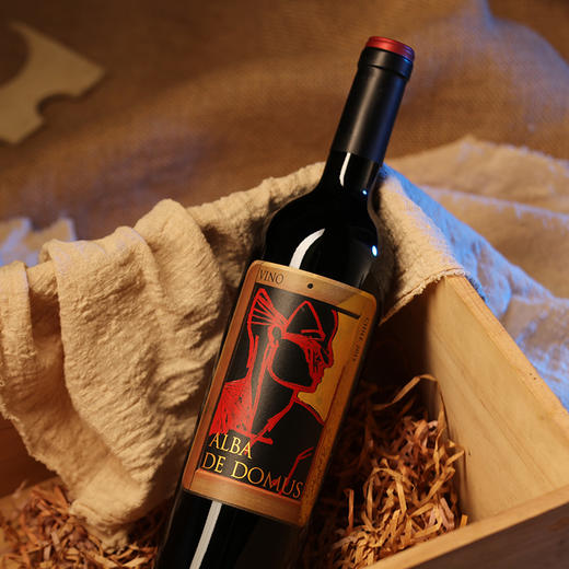 金色圣殿红酒Alba de Domus智利原瓶原装进口金殿之子干红葡萄酒 商品图10