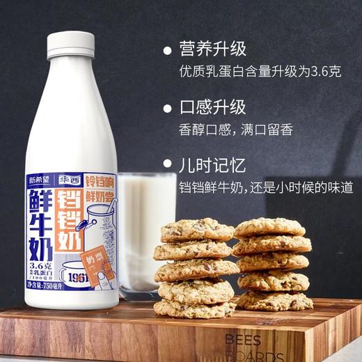 新希望 铛铛奶 优质乳蛋白含量3.6g/100ml 鲜牛奶 750ml（瓶） 商品图3