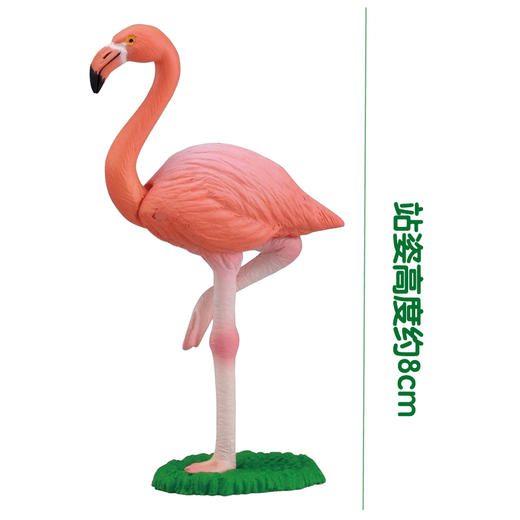 安利亚  -ANI-876205火烈鸟 商品图2