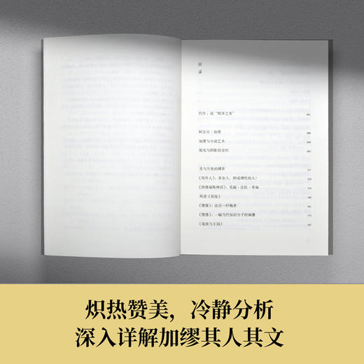 阳光与阴影的交织 郭宏安读加缪 商品图3