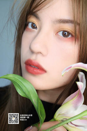 ABB原野 琥珀/蓝棕【日抛·十片装】