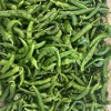 南湖洲名特优辣椒 约500克 商品缩略图1