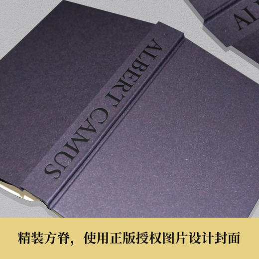 阳光与阴影的交织 郭宏安读加缪 商品图4