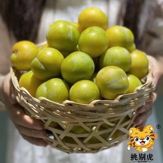 【蜂糖李】贵州六马，山间蜂糖李 ，入口如蜂蜜般香甜，非常好吃的一款李子，必吃推荐！ 商品图3