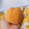 每年必吃~【无锡黄金水蜜桃】12头/盒。爆款甜蜜来袭，口感完美 商品缩略图3