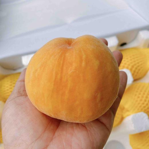 每年必吃~【无锡黄金水蜜桃】12头/盒。爆款甜蜜来袭，口感完美 商品图3