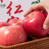 【脆甜好滋味】洛川苹果 甜脆爽口 4.5斤大果彩箱/12枚礼盒 商品缩略图4