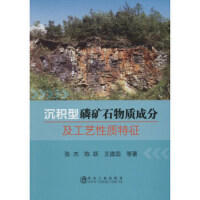 沉积型磷矿石物质成分及工艺性质特征\张杰,陈跃,王建蕊