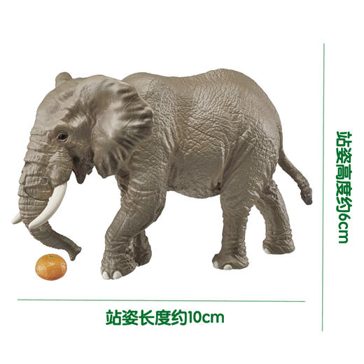 安利亚-ANI-160564非洲象（带橘子） 商品图4
