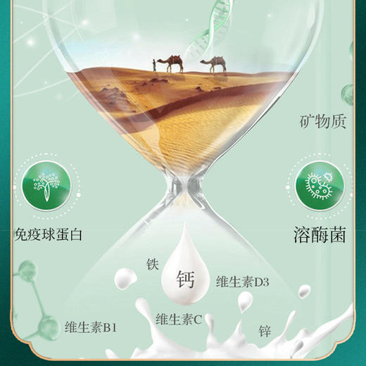 明珠娇子 • 太子驼 -全脂驼乳粉  青少年中老年新疆正品双峰驼奶粉300g 商品图4