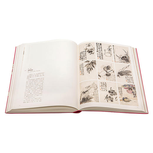 万紫千红 中国古代花木题材文物特展 包含展览全部展品 商品图3