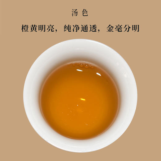 普洱 莫氏大森 邦东古树2016私享境界200g 商品图2