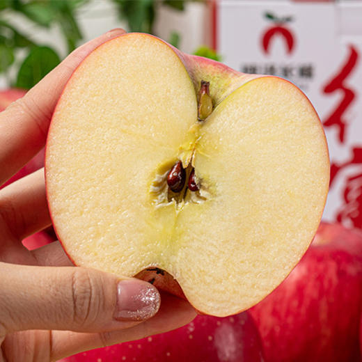 【脆甜好滋味】洛川苹果 甜脆爽口 4.5斤大果彩箱/12枚礼盒 商品图2
