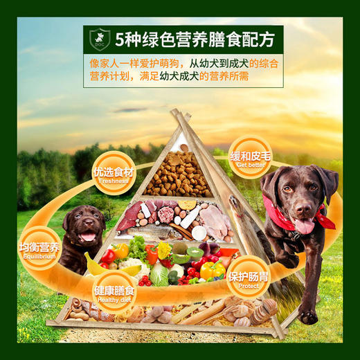 【狗粮】狗粮20kg40斤成犬幼犬10金毛德牧边牧中犬哈士奇 商品图2