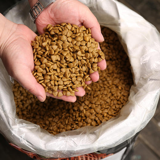 【狗粮】狗粮20kg40斤成犬幼犬10金毛德牧边牧中犬哈士奇 商品图1