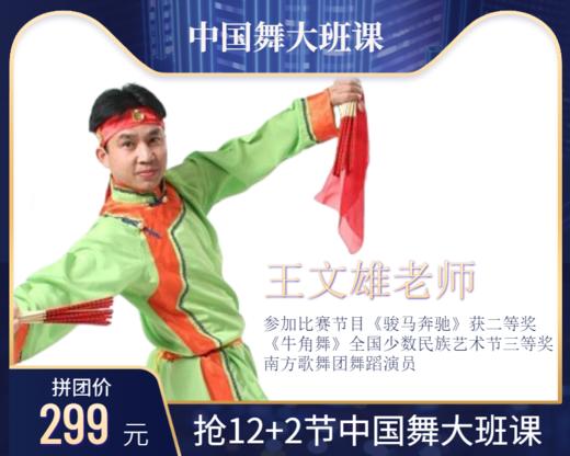 299元抢12+2节【王文雄老师】中国舞大班课 商品图0