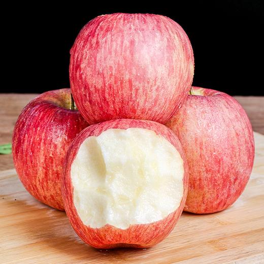 【质农】 2025新果 正宗陕西洛川苹果 个大色艳/肉质紧密/汁多松脆/酸甜适口 商品图8