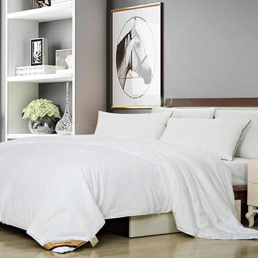 梦缘系列纯桑蚕丝被 AQZB 商品图1