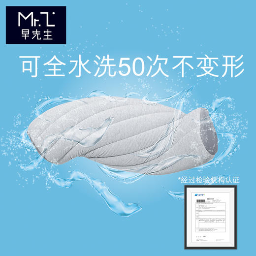 早先生 · 净酷舒适枕 商品图1
