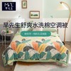 早先生 · 舒爽水洗棉夏被-芭蕉叶 商品缩略图0
