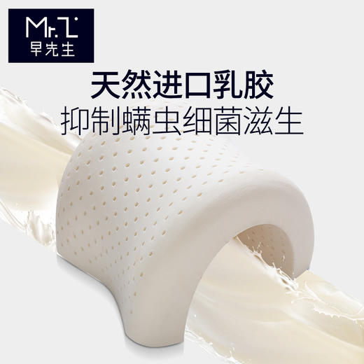 早先生 · 乳胶枕 商品图1