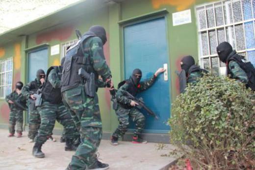 【少年警训计划】俄联邦 “ 阿尔法 · Альфа ” 特种部队 商品图7